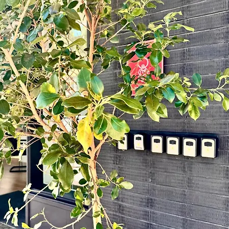 Con Vistas Al Mar 12ºa